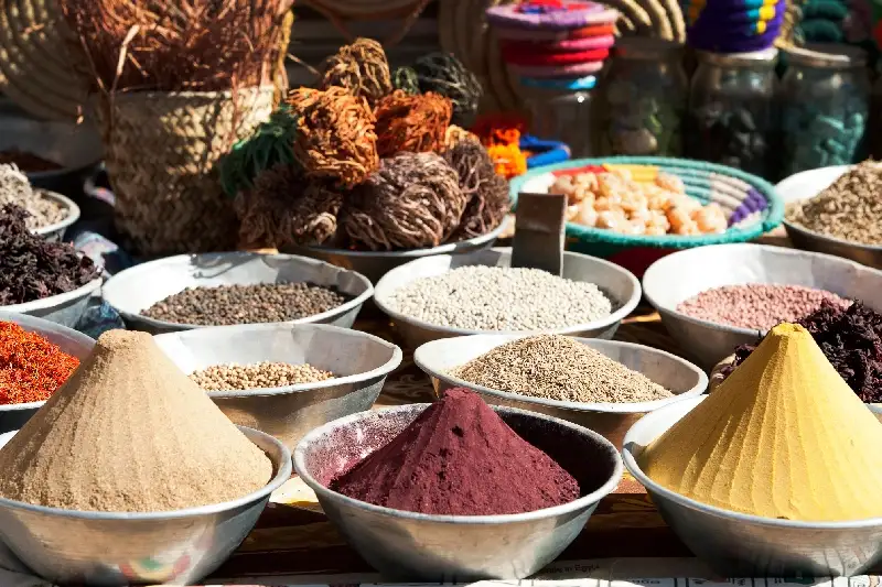 Excursión al Pueblo Nubio en Barco de Motor